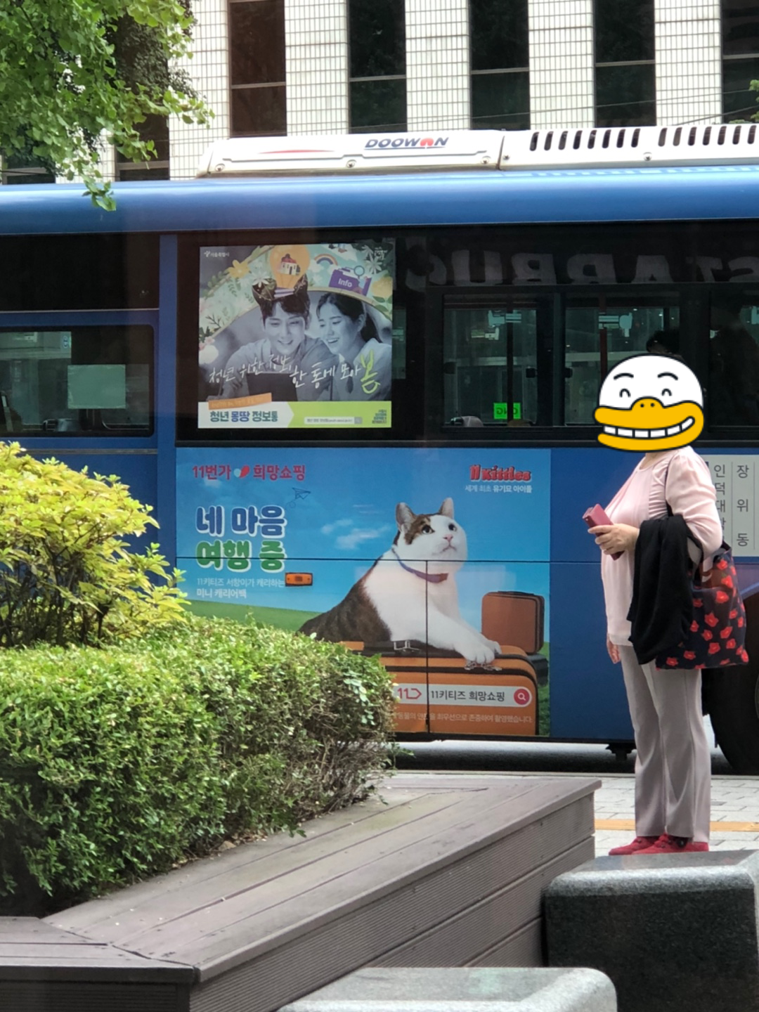 시청역-스타벅스에서-바라본-버스