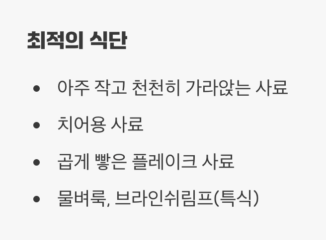 먹이 - 작은 입을 위한 '공중 만찬'