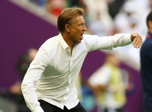 에르베 르나르 축구 국가대표 감독 러브콜 이유