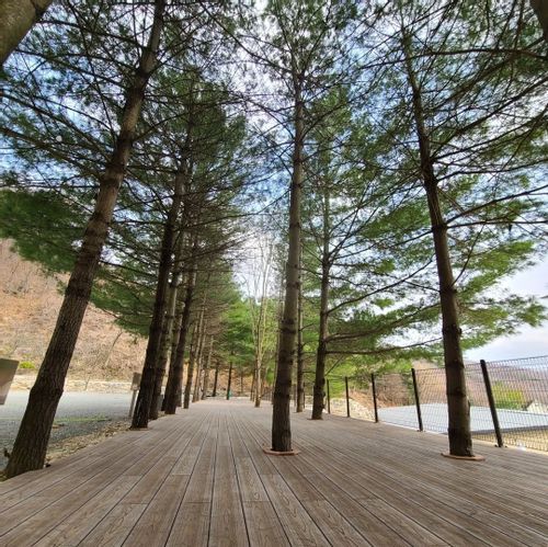 천안 아우내관광농원캠핑장 소개