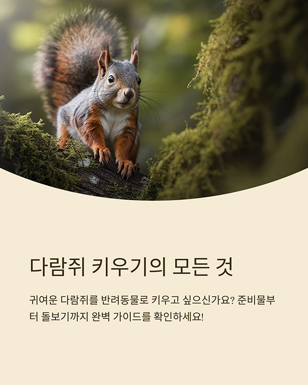 다람쥐를 키우기 전에 꼭 알아야 할 것들