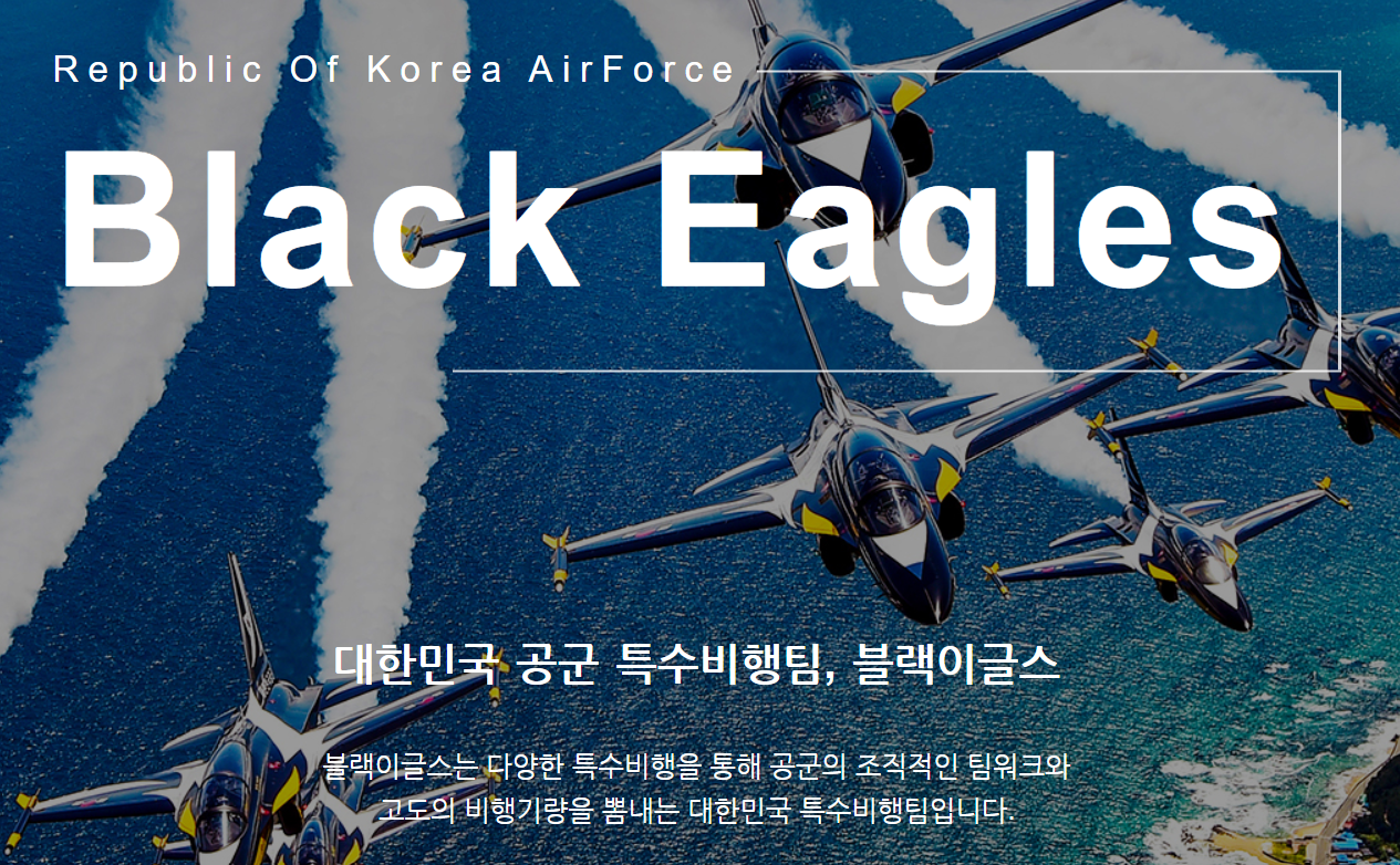 대한민국 공군 특수비행팀 블랙이글스