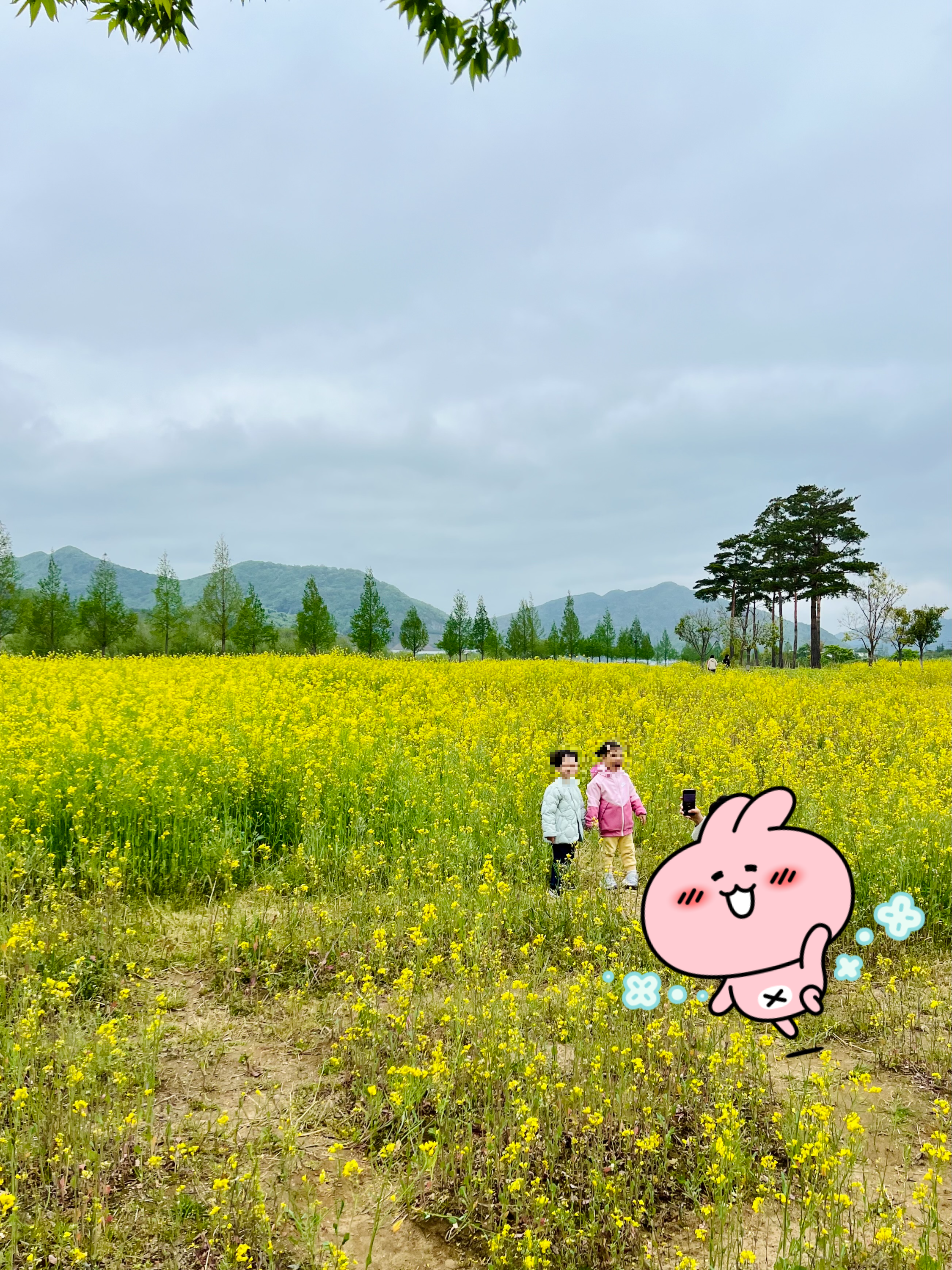 황상공원 포토존. 황산공원 유채꽃