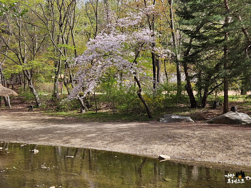 용인 한국 민속촌 풍경