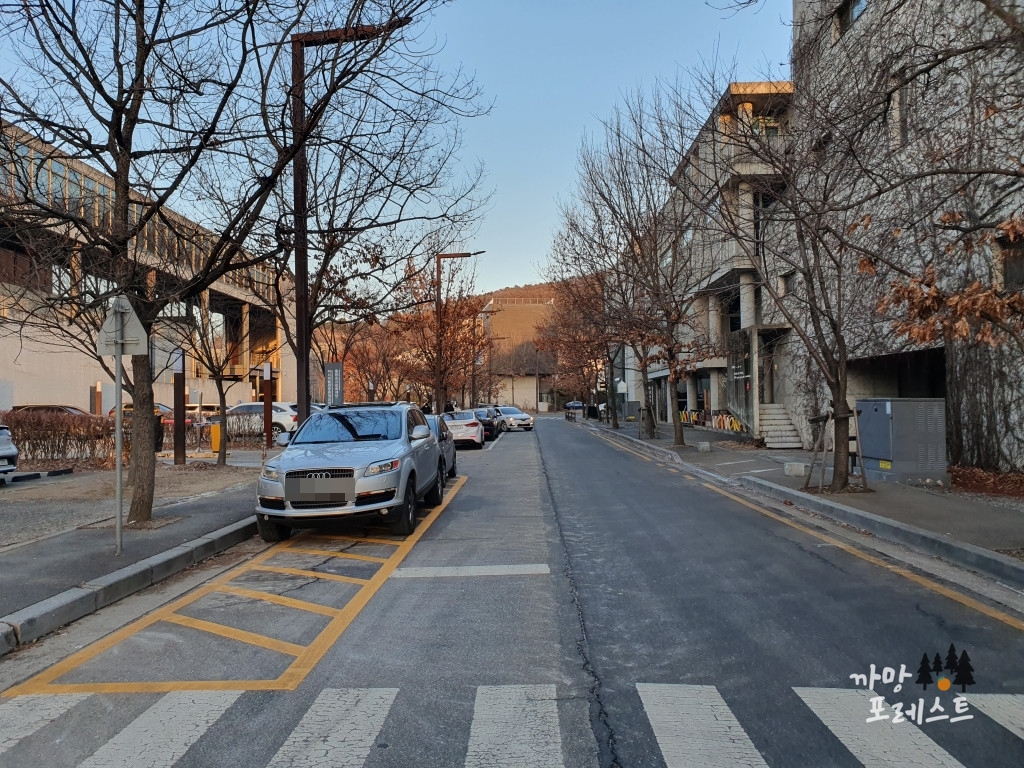 파주 지혜의 숲 주차