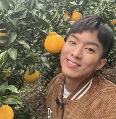 나태주