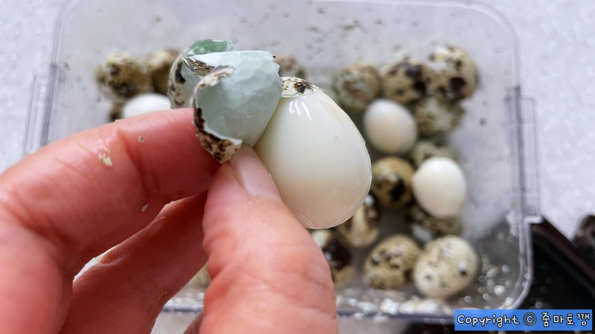 껍질이-잘-벗겨지는-메추리알