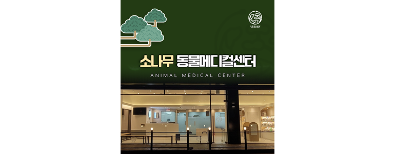 인천 계양구 동물병원