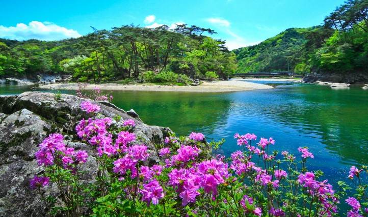 제천시 경제활력지원금 20만원 신청방법