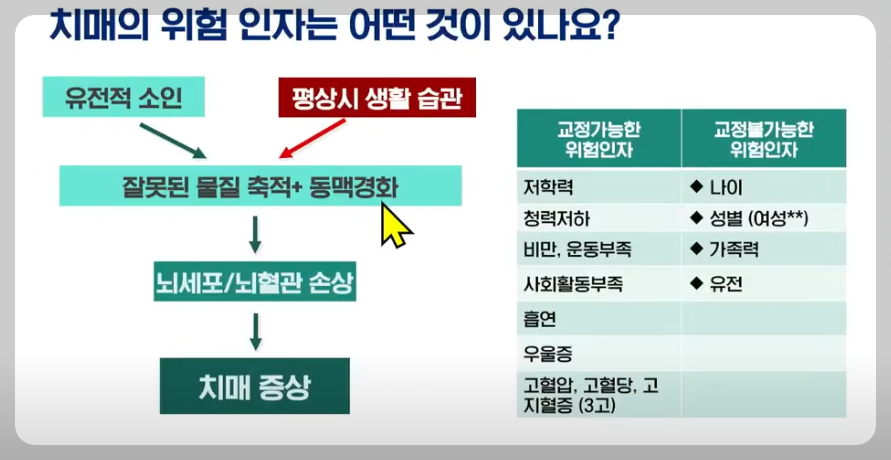 치매의 위험 인자