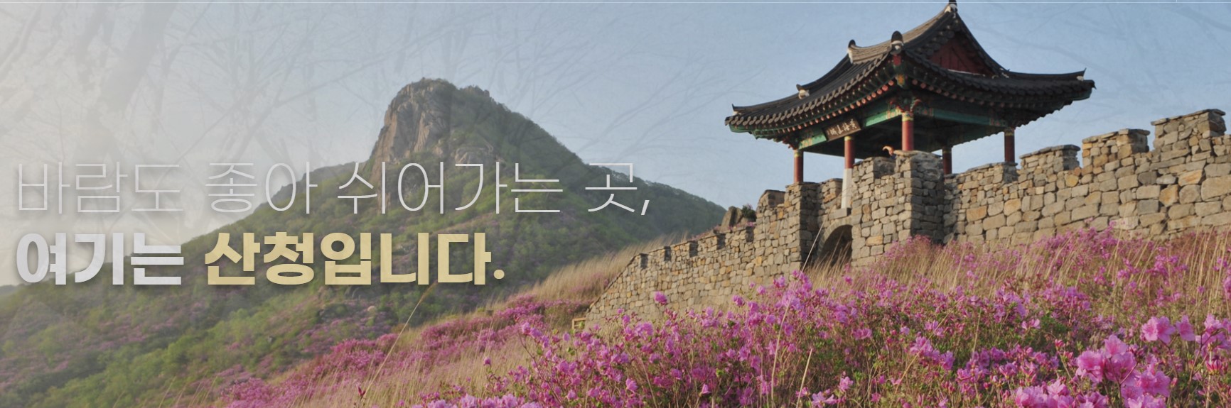 황매산 철죽축제