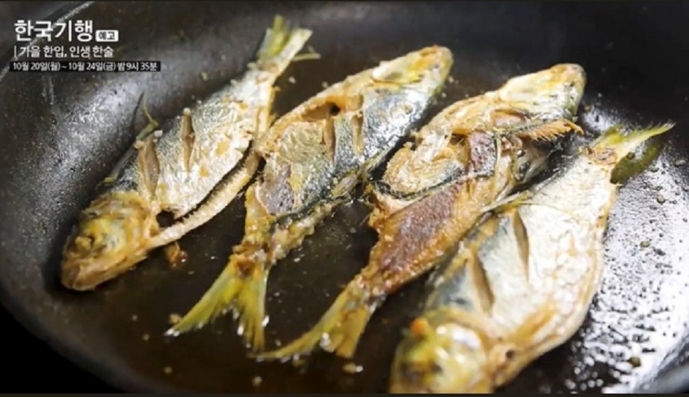 한국기행-낙동강전어-부산-진목항-전어