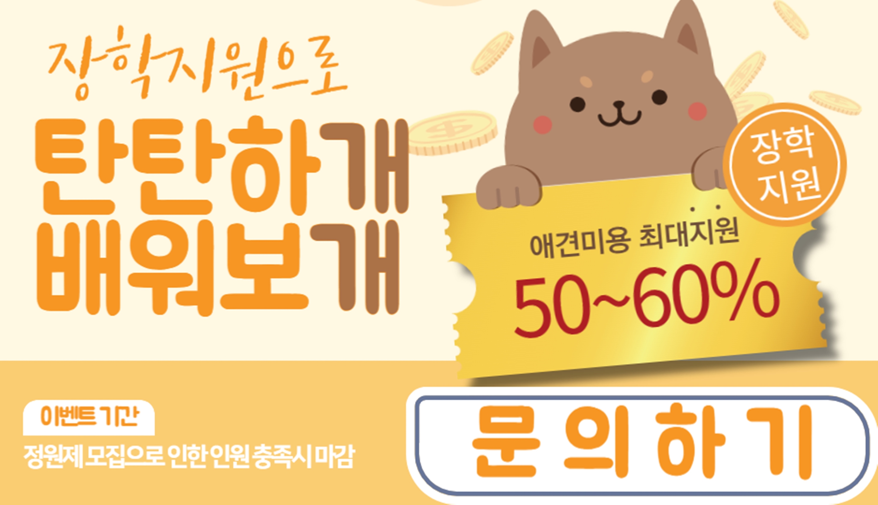 애견미용학원국비지원