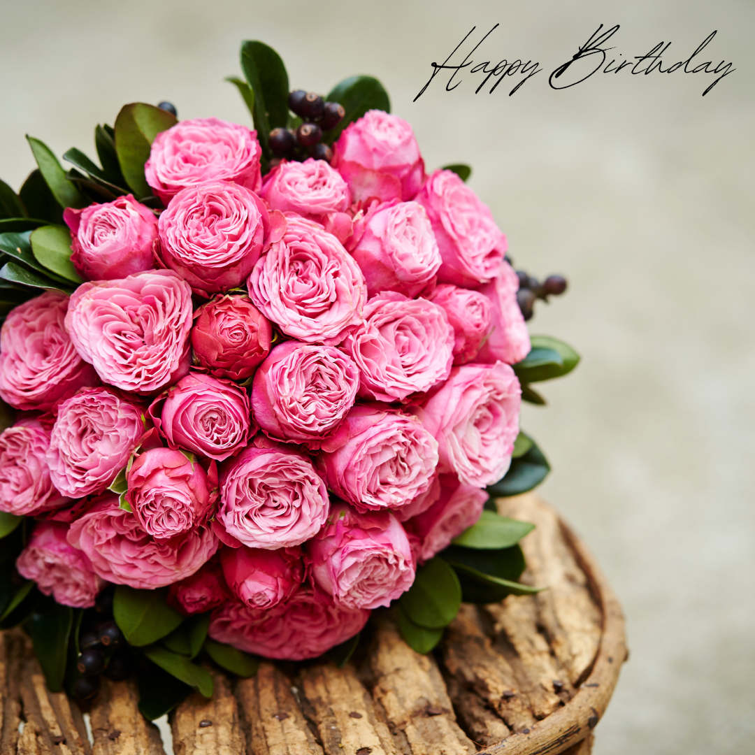 .생일 축하 메세지 꽃다말 이미지 모음