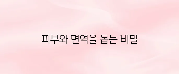 비타민나무(씨벅톤)의 효능 – 피부·면역력 강화에 좋은 이유