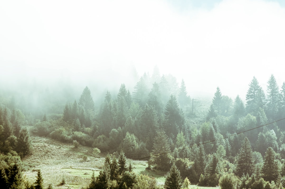 Settlement