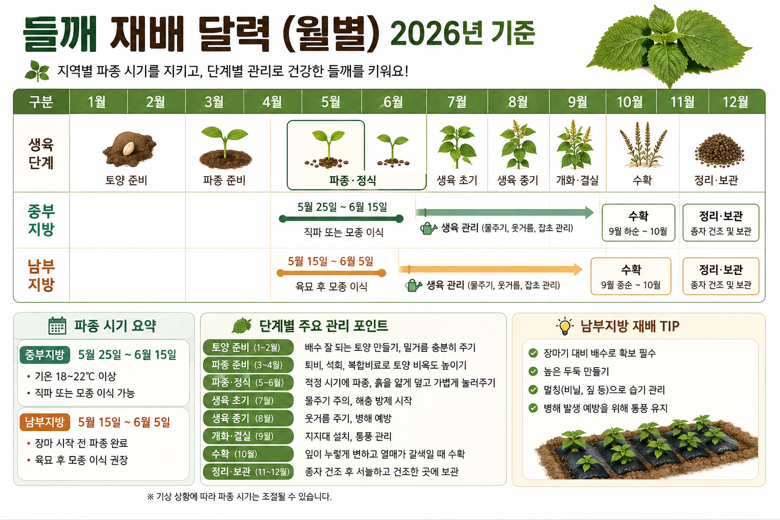 들깨 재배 달력 (월별)