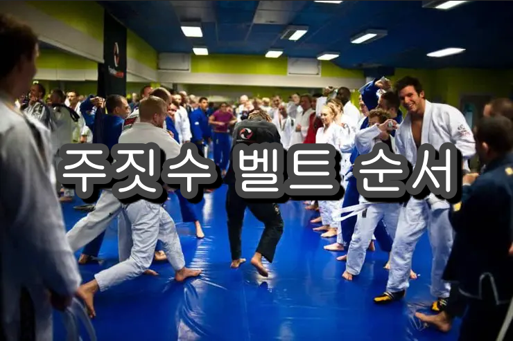 주짓수 벨트 순서