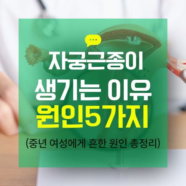자궁근종이 생기는 이유 (주요 원인 5가지)