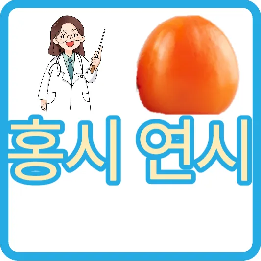 홍시 연시 효능 변비 칼로리 단감 곶감 가을 겨울 제철 과일