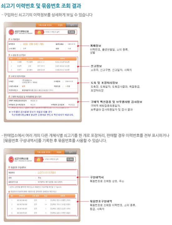 조회 결과 화면 예시