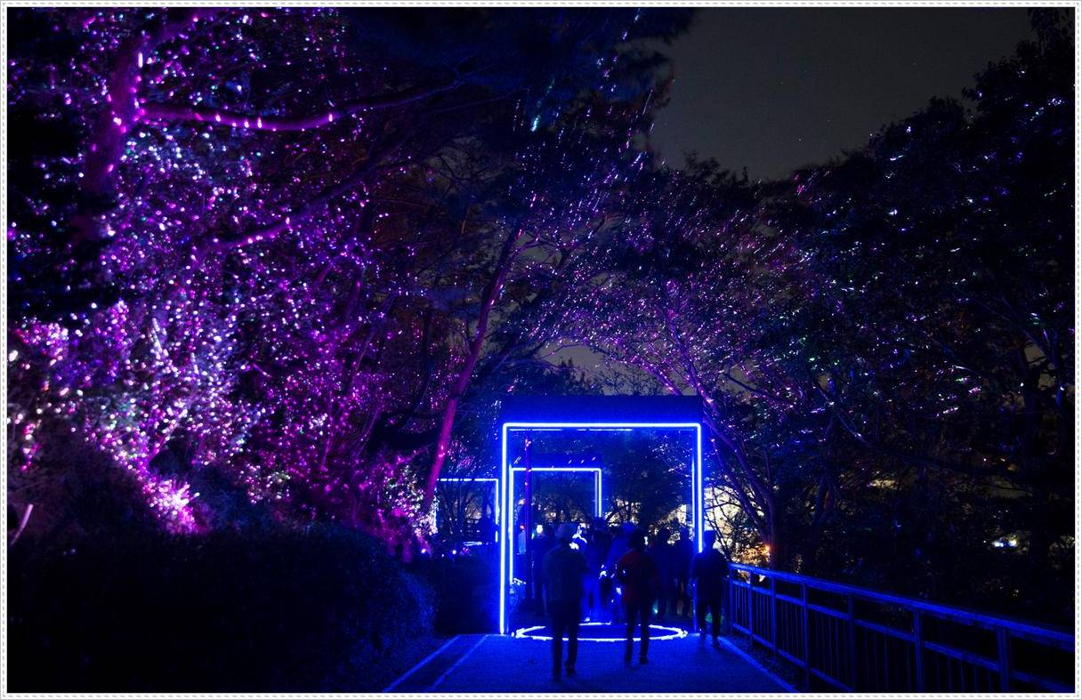 통영 디피랑 야경모습입니다.