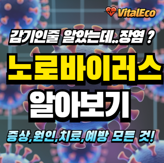 노로바이러스 알아보기