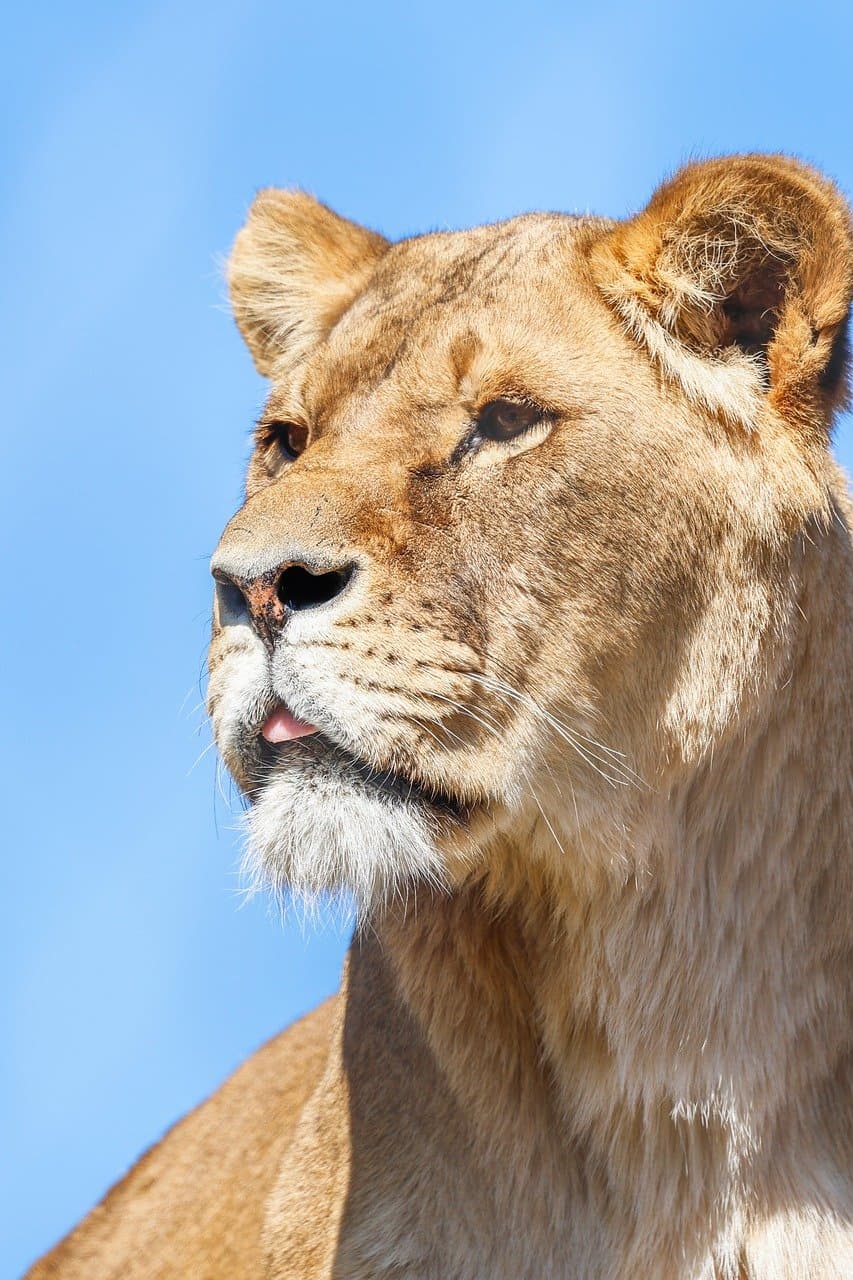 한국 드라마 속 ‘AI와 기술’ 등장 장면 TOP 5