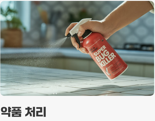 지금 당장 시작하는 효과적인 퇴치법