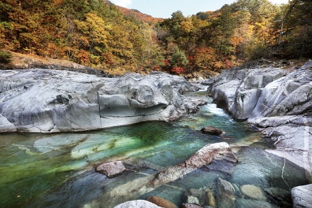 강원도 가을 단풍 여행 가이드 : 2025 내설악·백담사 단풍 절정 시기 & 추천 코스
