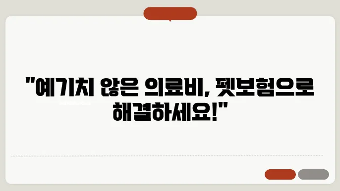 펫보험, 내 반려동물을 위한 현명한 선택