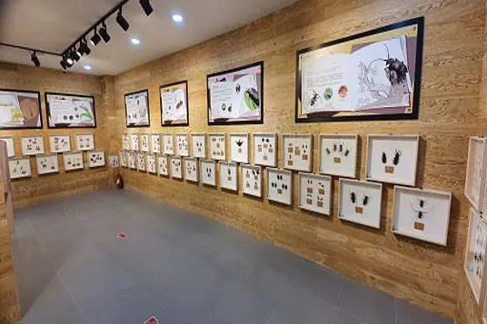 영암곤충박물관