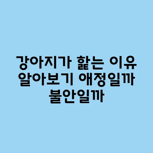 강아지가 핥는 이유 알아보기 애정일까 불안일까