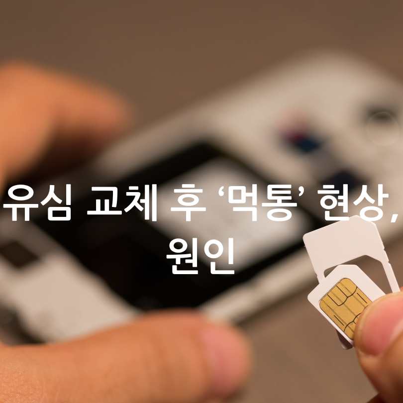 다른 SIM 사용제한 기능 : 해제방법&amp;#44; 비밀번호&amp;#44; 대처방법