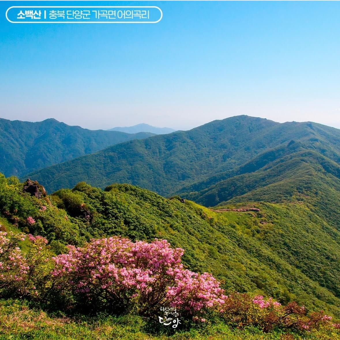 소백산 등산코스