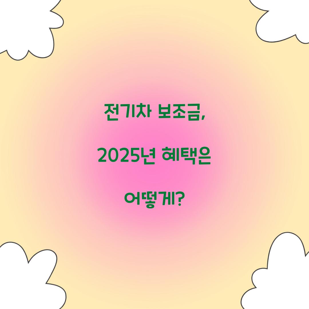 전기차 보조금