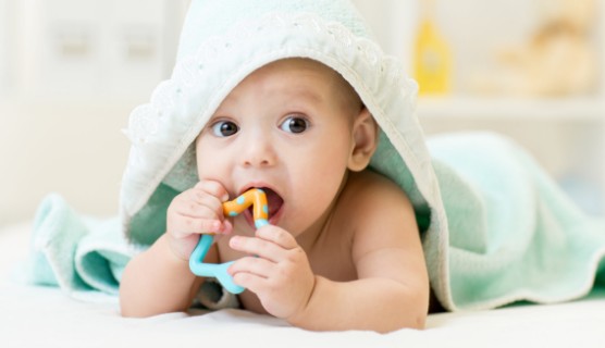 [Q&amp;A] 치발기 사용시기, 사용기간, 효과, 보관, 소독