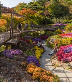 화담숲-암석/하경정원