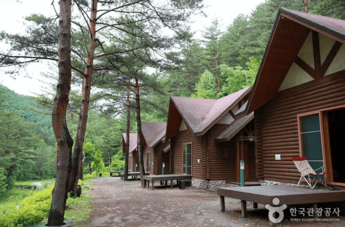 태백 가볼만한곳