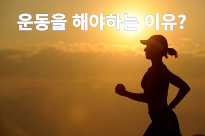 운동의목적