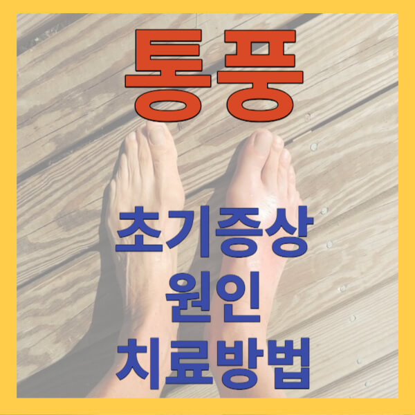 통풍