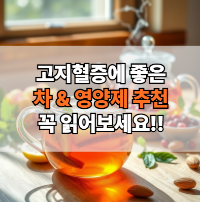 고지혈증에-좋은-차-영양제