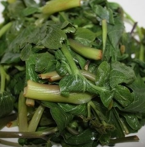 방풍나물 효능 부작용 요리 고르는법 칼로리