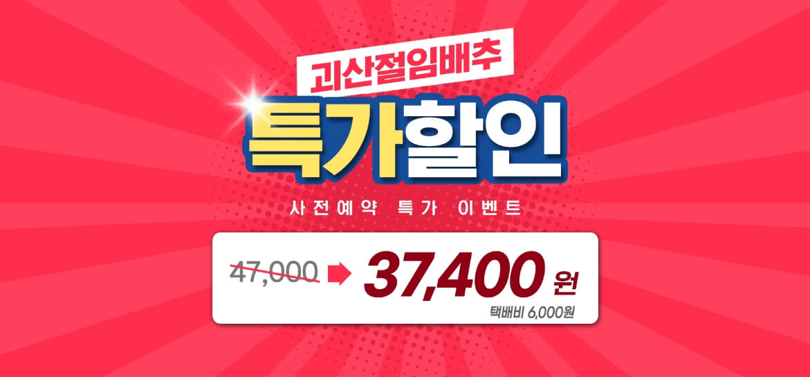 괴산 절임배추20kg