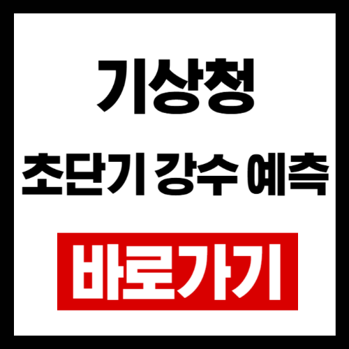 초단기 강수 예측 사이트 사용법 완벽 가이드 (장마 대비 필수)