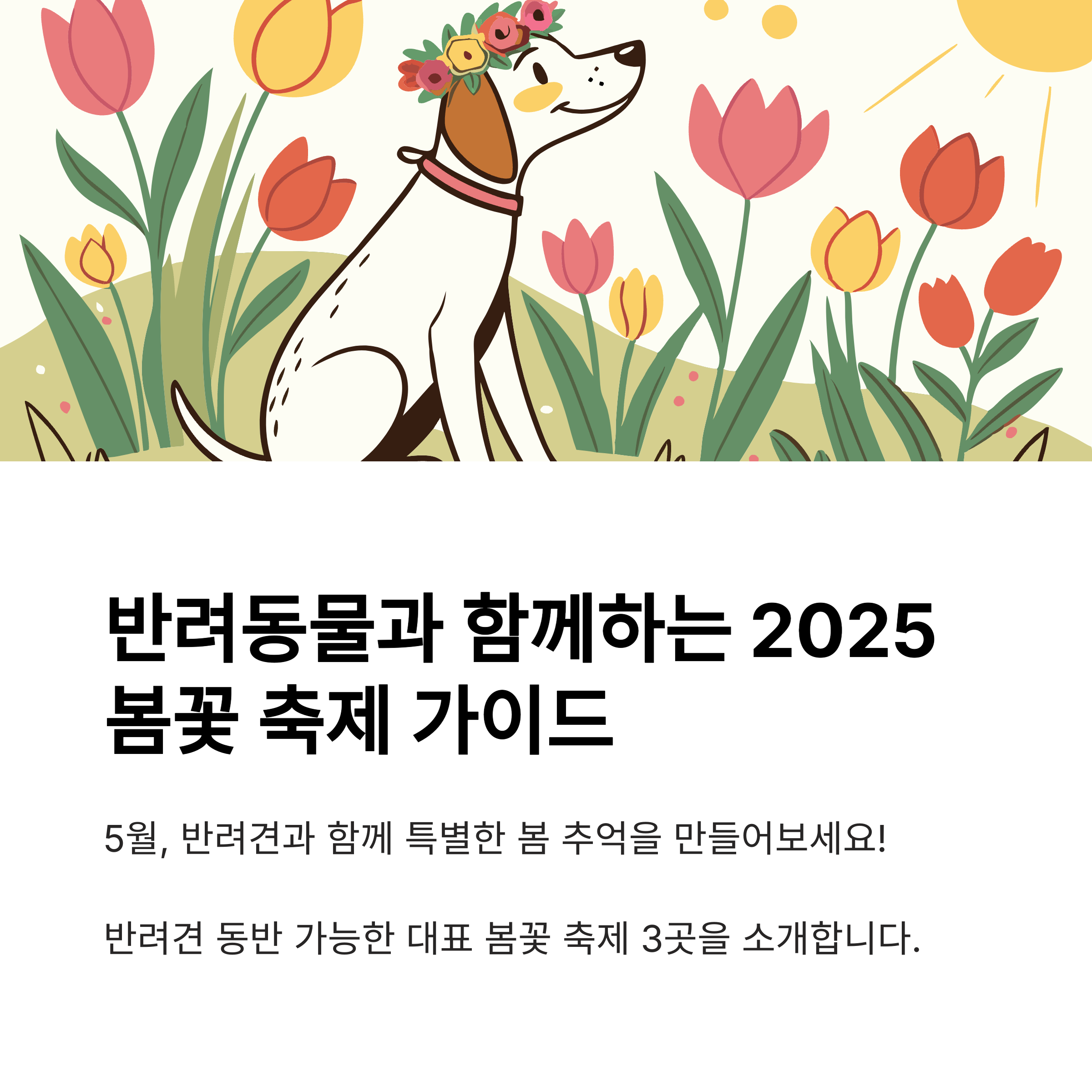 반려동물 동반 가능한 2025 5월 봄꽃 축제 BEST 3 (애견인 추천 코스)