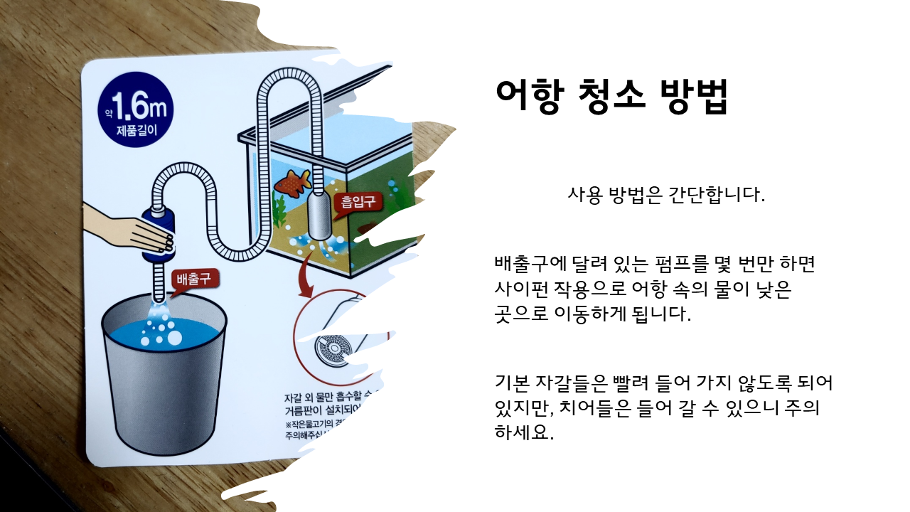 사이펀 원리를 이용한 어항 청소 모습