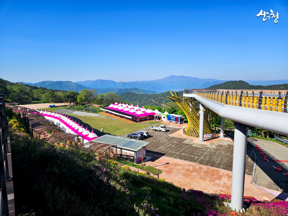 [5월 축제]2025 산청 황매산 철쭉제❘개요, 체험 프로그램 예약, 철쭉 실시간 개화상황
