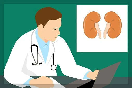 신장 문제 표현