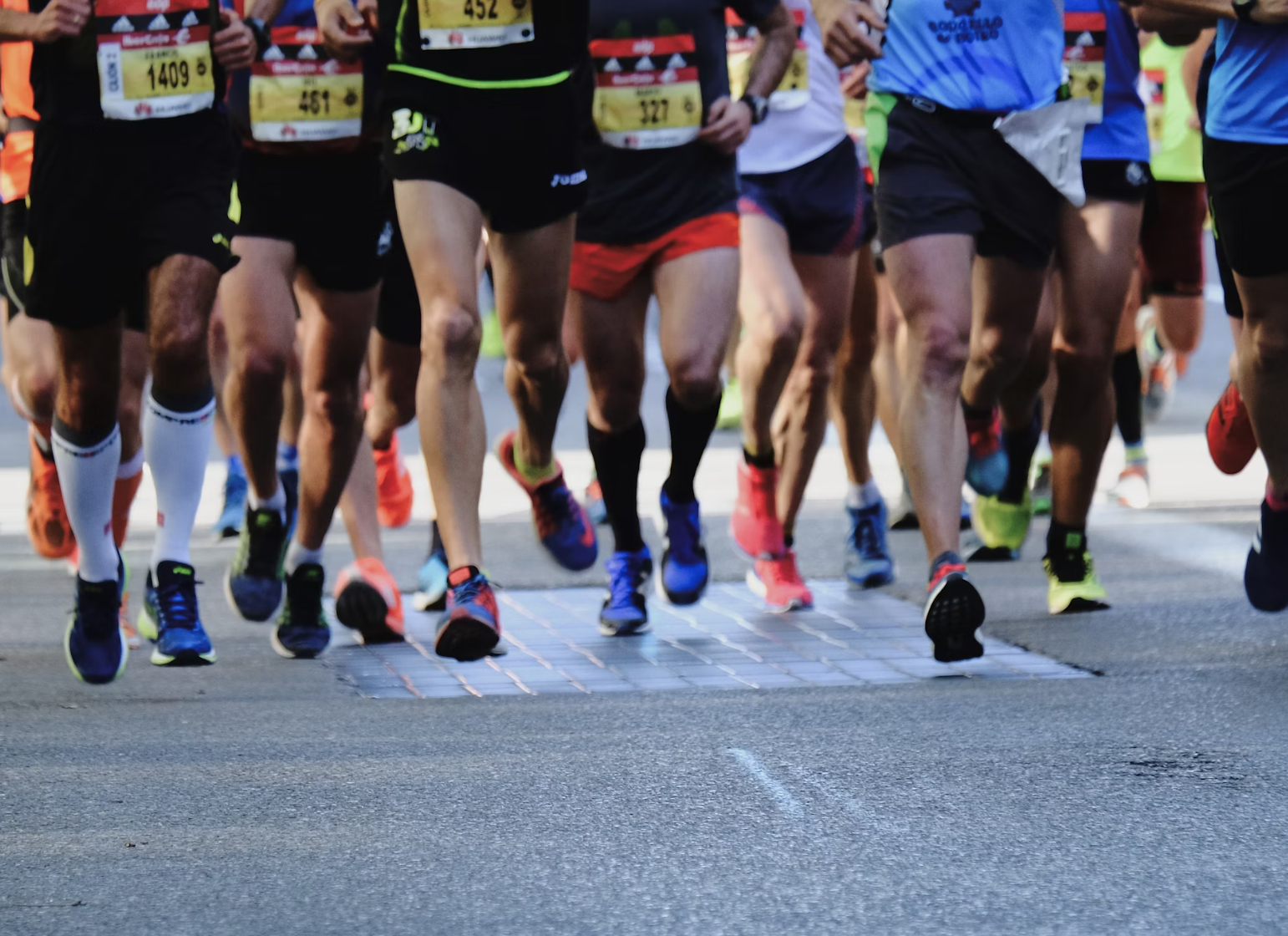 마라톤 코스 종류별 특징 2